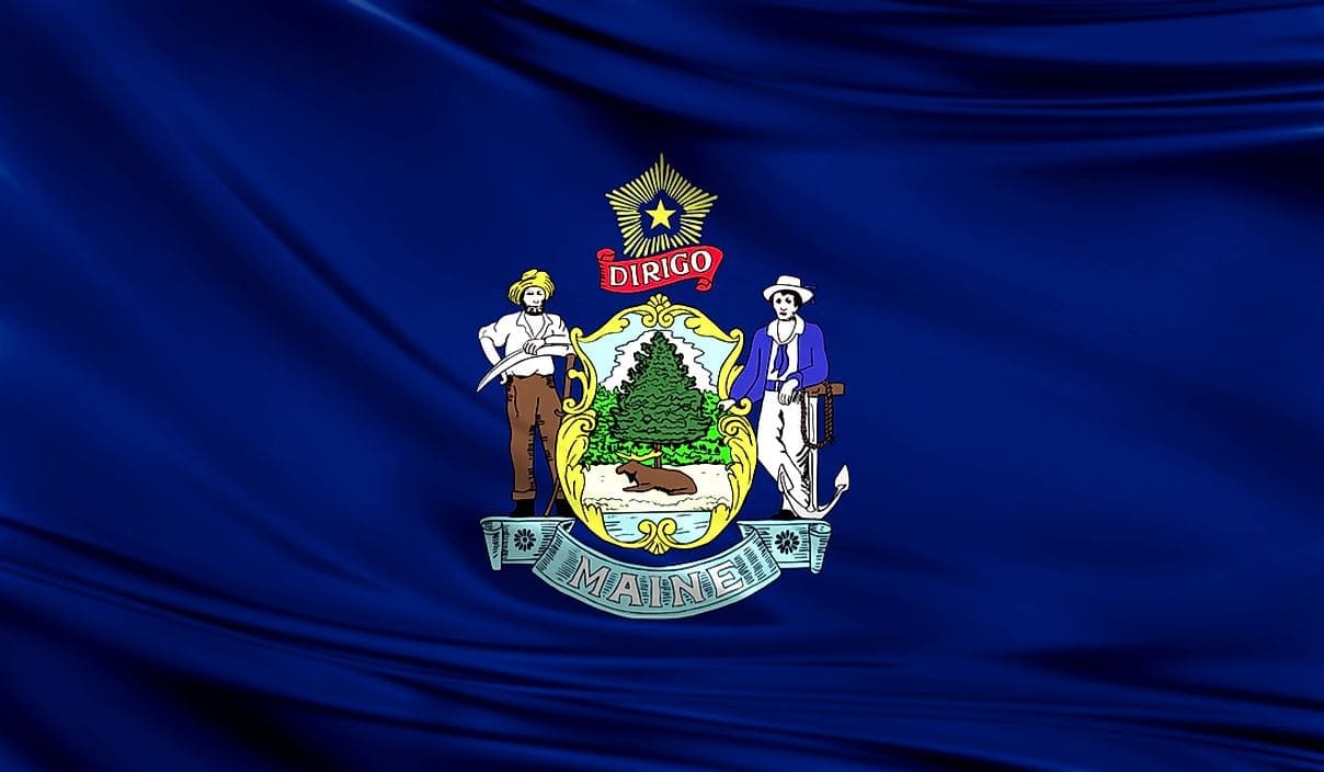 Maine State Flag Maine State Flag Panel