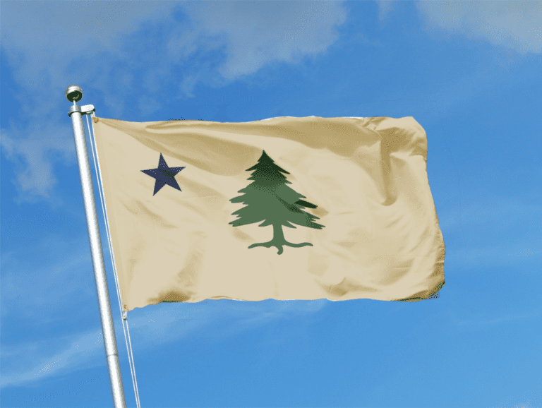 The Maine 1901 Flag - Pine Tree and Lone North Star