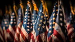 14386 Field of Durable Flags