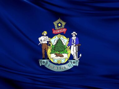Maine State Flag Panel