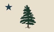 The Maine 1901 Flag - Pine Tree and Lone North Star