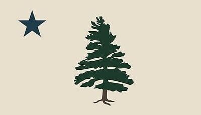 The Maine 1901 Flag - Pine Tree and Lone North Star