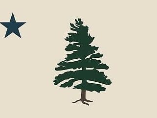 The Maine 1901 Flag - Pine Tree and Lone North Star