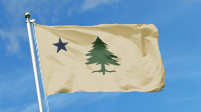 The Maine 1901 Flag - Pine Tree and Lone North Star