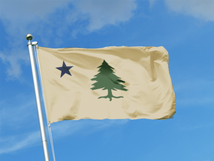The Maine 1901 Flag - Pine Tree and Lone North Star