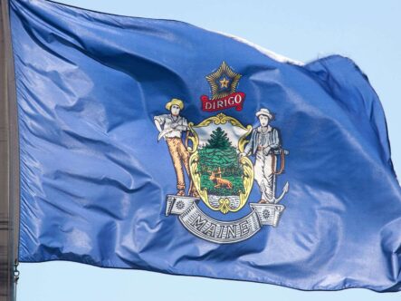 maine state flag flying on a poll