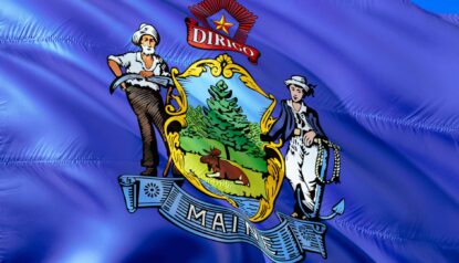 maine state flag made by nylon