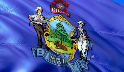 maine state flag made by nylon