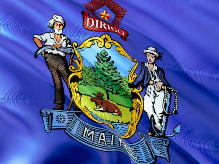 maine state flag made by nylon